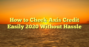 How to Check Axis Credit Easily 2020 Without Hassle