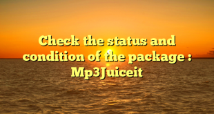 Check the status and condition of the package : Mp3Juiceit