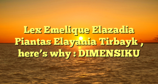 Lex Emelique Elazadia Piantas Elayania Tirbayk , here’s why : DIMENSIKU