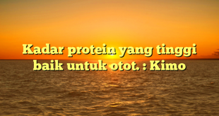 Kadar protein yang tinggi baik untuk otot. : Kimo
