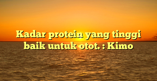Kadar protein yang tinggi baik untuk otot. : Kimo