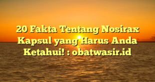20 Fakta Tentang Nosirax Kapsul yang Harus Anda Ketahui! : obatwasir.id
