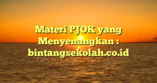 Materi PJOK yang Menyenangkan : bintangsekolah.co.id